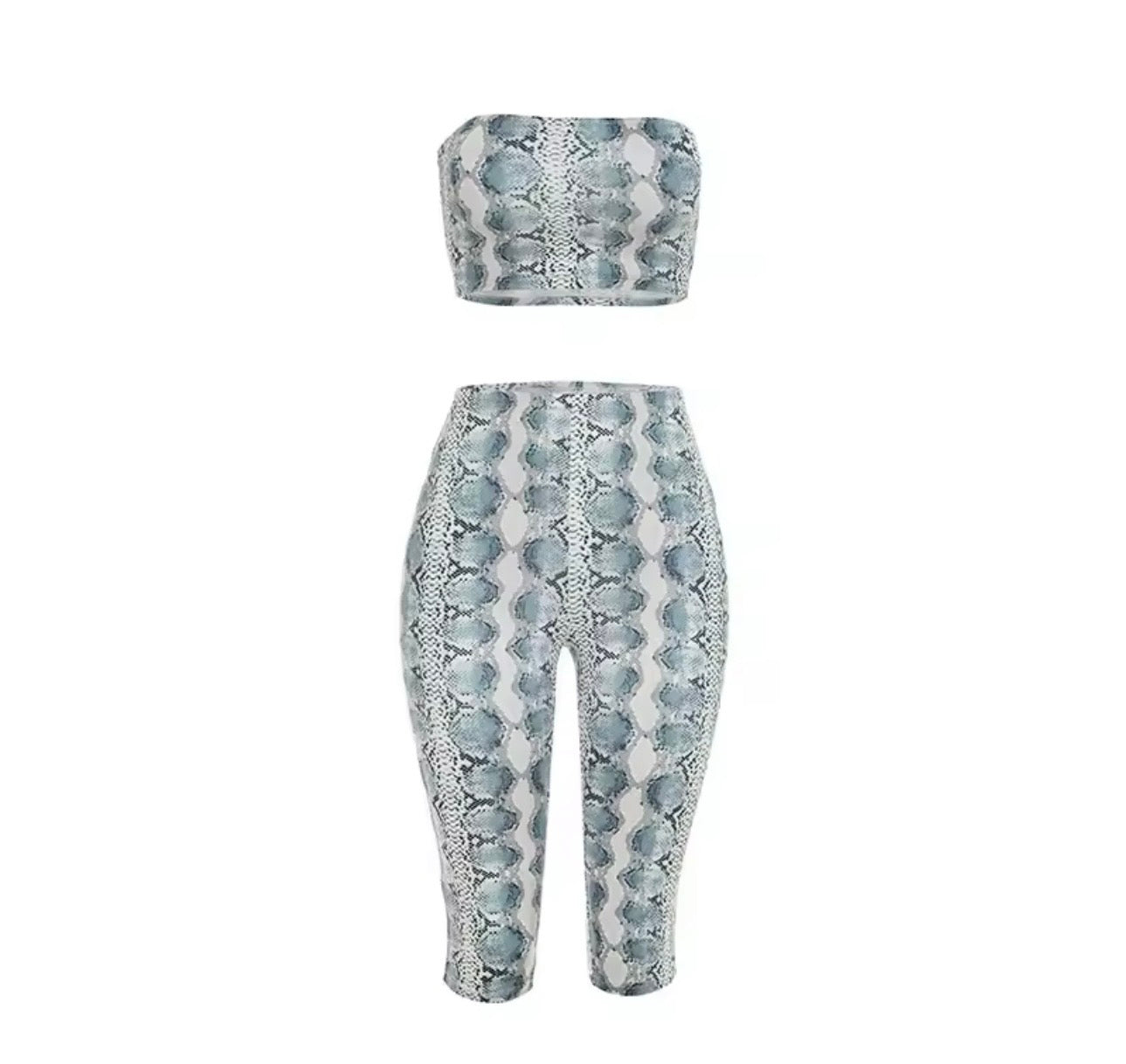 Snake Bite Two piece set