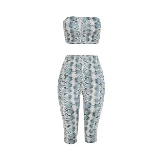Snake Bite Two piece set