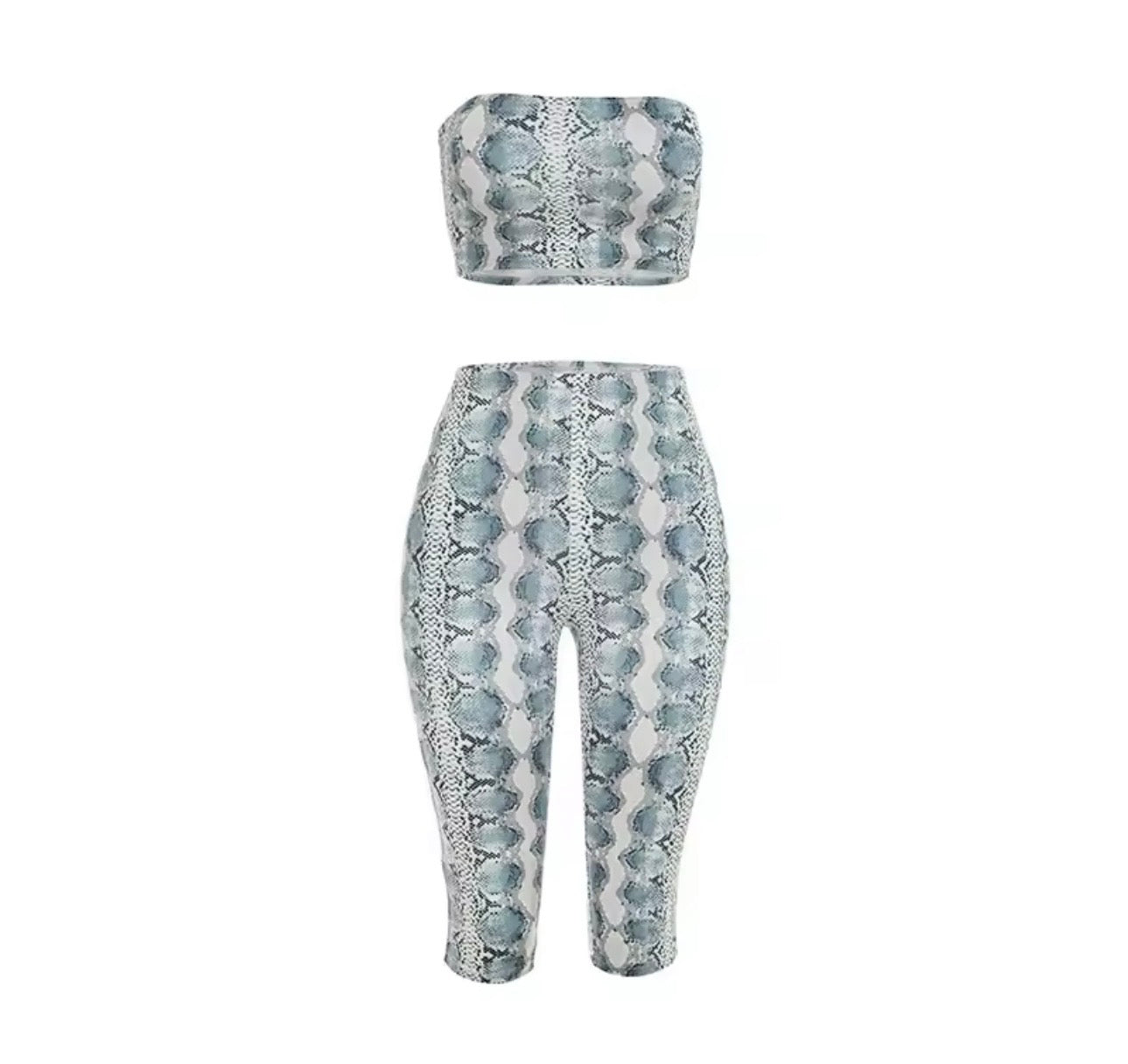 Snake Bite Two piece set