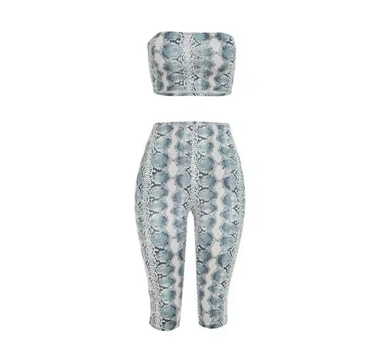 Snake Bite Two piece set