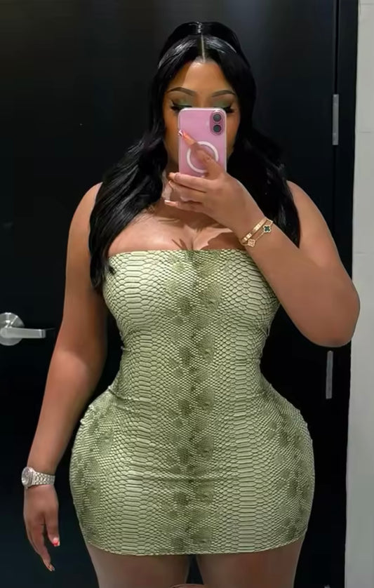 Snake Bite Mini Dress